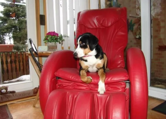 Spree Idyll By Interhome Apartment