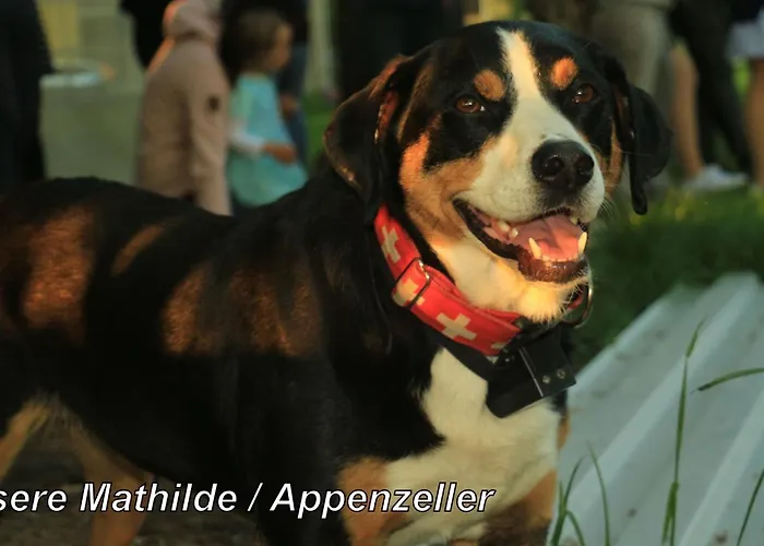 Apartment Spree Idyll By Interhome *