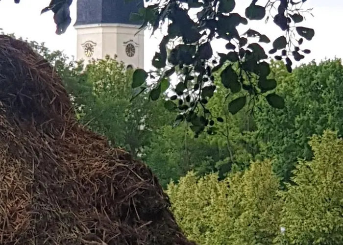 Spree Idyll By Interhome Apartment *